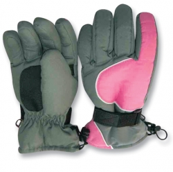 Ski Gloves